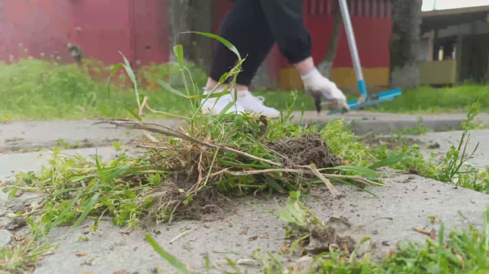 �������� ����� �� ������������� ���������