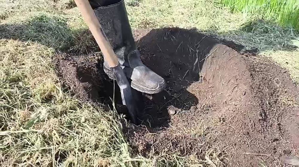 ����� ��������� ������������� � ��������� ����������