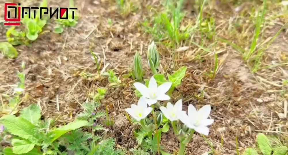 ������� ������: �� ������, �� ��������!