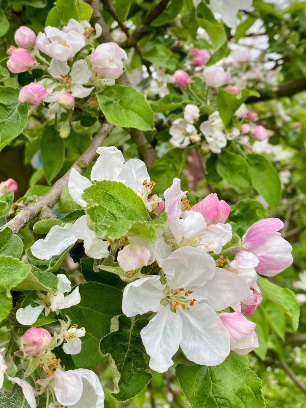 ������ ���� ����!. ������������� ��������! � ����������� ��������� ����������! sd_kakhovka.khogov.ru