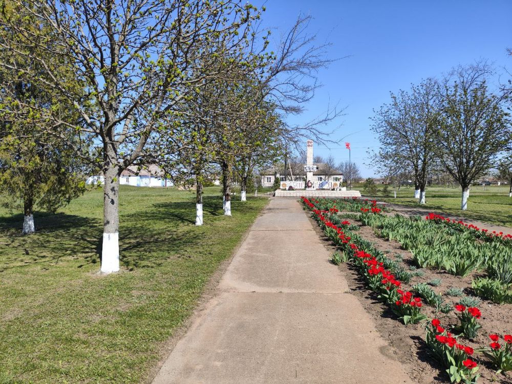 � ������������ ������ ������������� ���������