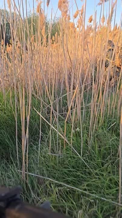 ���������� �����������. ������ �����