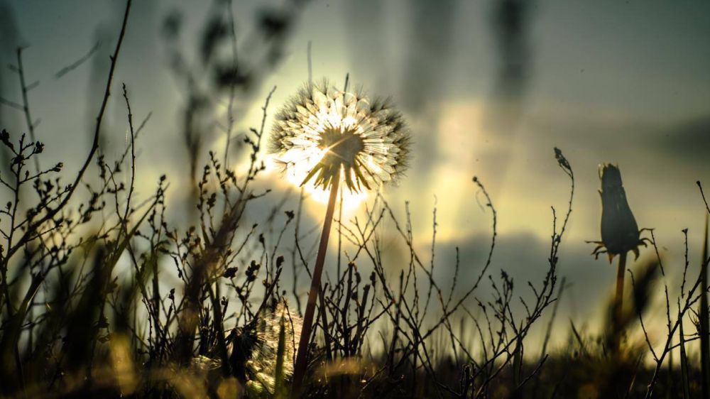 ���������� - ��� ���. ��������� �� ������.��