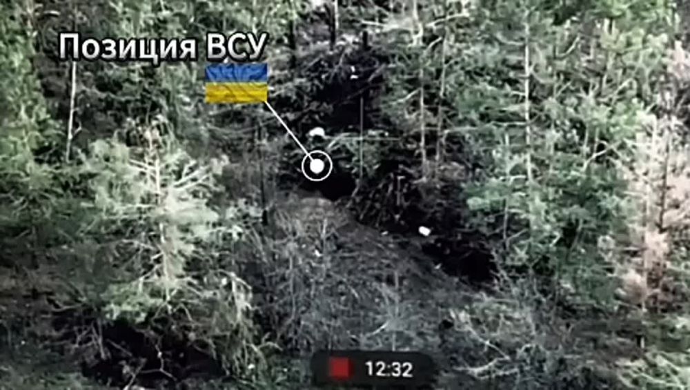 ������ ��������. ����� ����������� �������� ���, ����� ���� ���������� � ����������� �������