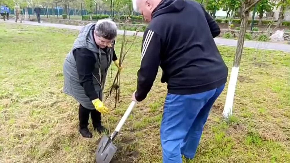 ����� ����� � �������������� ���� ��������� � ��������������