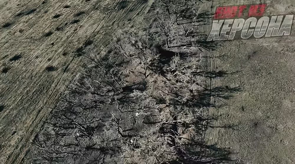 ���� �� �������: ��������� ������� ����������� �� ���������� �������