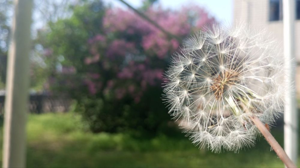 ������� ����, �����������!