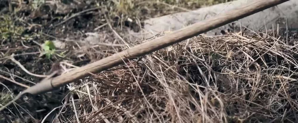 � ���������� ������� � ������ ���� ������������� 82 ���������� ����� ��������������