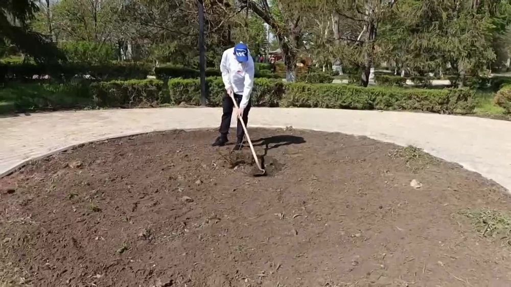 �������� ���� ����������� ������ ���������� ������������� ���������