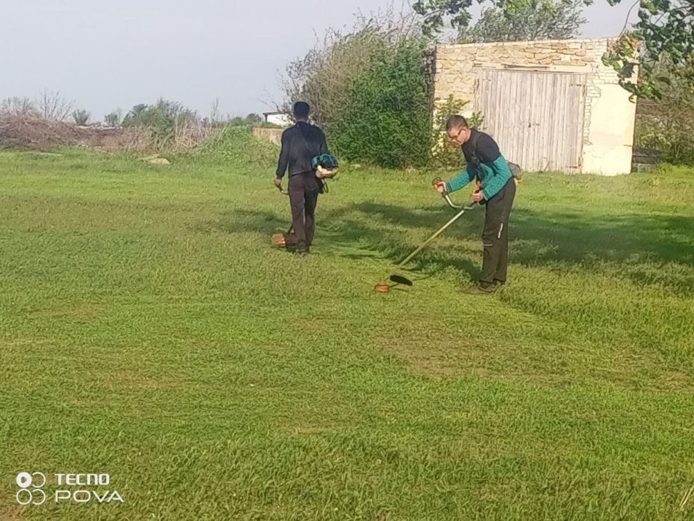 ������ ���������� ������� �������� ��������������� �������������� ������ �������������� � �������������� ����������