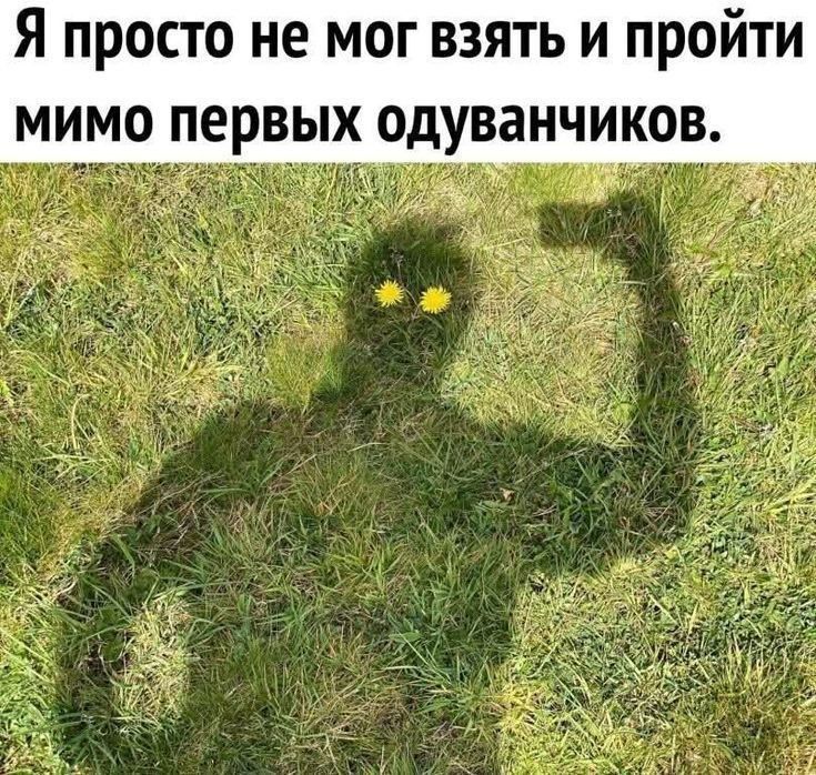 ������� ������� � ������, � ����� ��������� ������