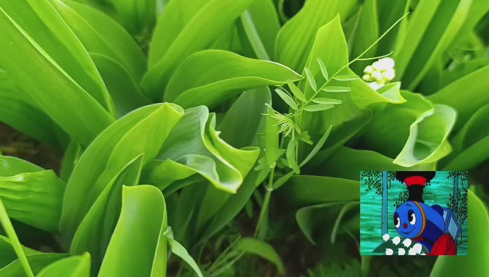 ���� ������� ����������� ����������� ����!