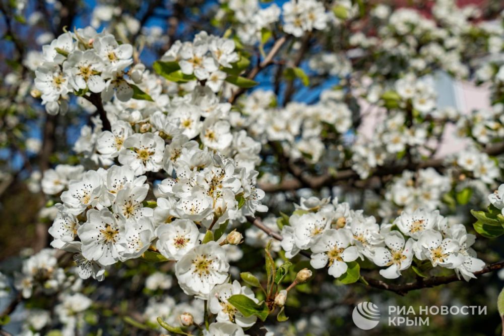 ������ �� ����� ����������� ������