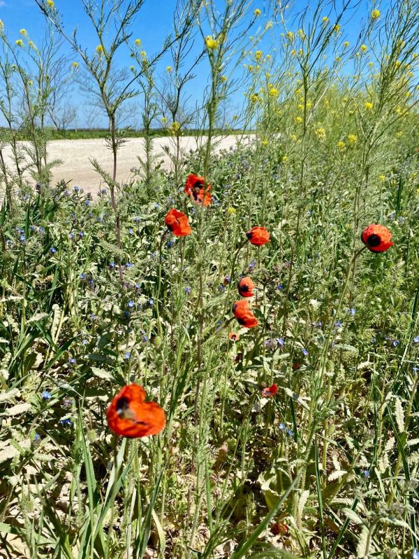 ������ ���� ����!. ������������, ����������, �������������� ������! � ����������� ��������� ����������! sd_kakhovka.khogov.ru