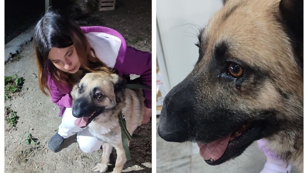 ��� ����� ����������: ����� �������� ��� ����� �� ���������� ������� ����� ����� ���