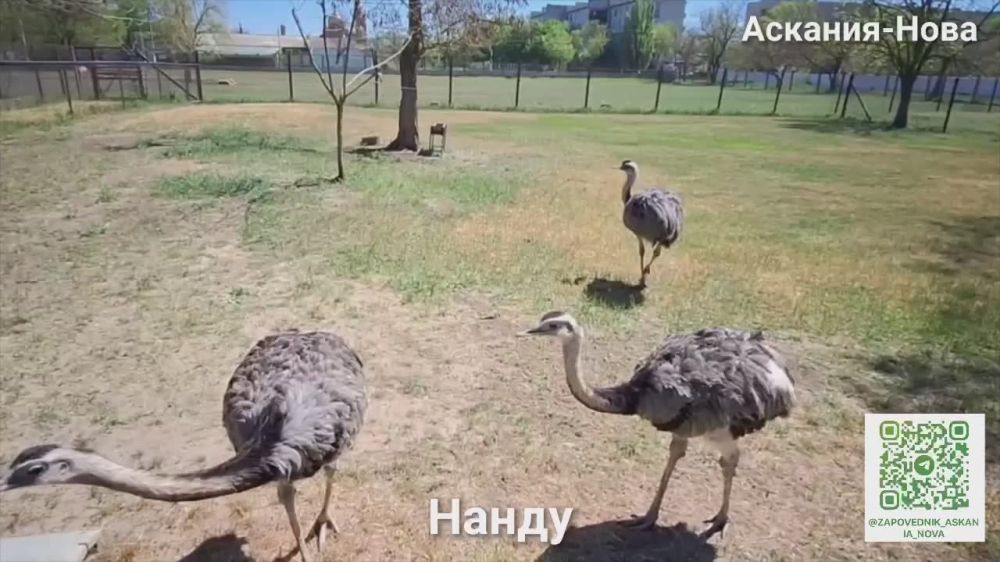 ���������� ���������� ���������� � �������������� ������