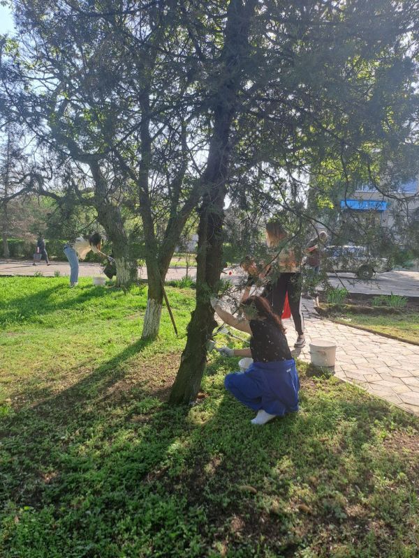 26 апреля 2025 года администрация Верхнерогачикского муниципального округа приняла участие во Всероссийском субботнике