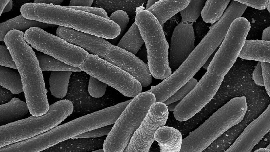 �������� ���������� ������� ����������� �� ������������ ������ � ������ ����� ����