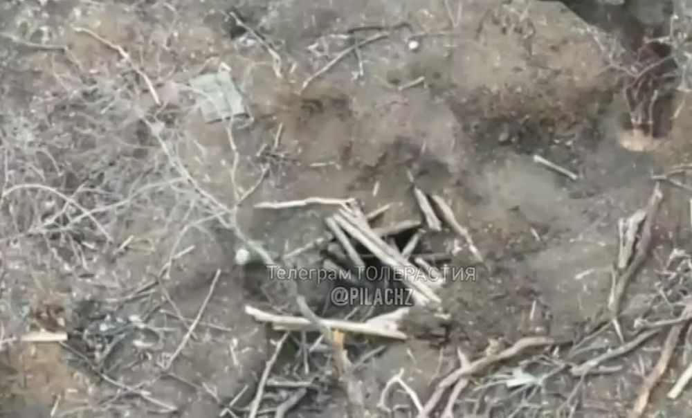 ��������� �� �� ������� ��������������� ���� � �������, ��� ������ ��� �����