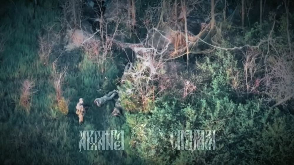 ��� ������ ����� � ������� ��������� �������� ����