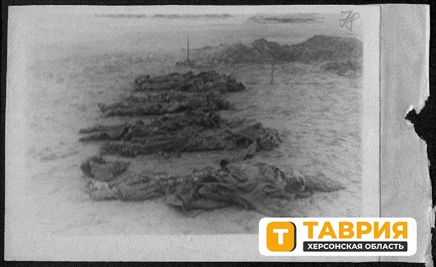 ���: ������� ����� 1 660 �������� � 500 ����� � ����������� ������ � ���� ������� ������������� �����