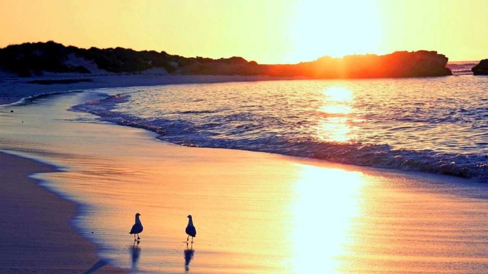 ����� ����������: ������ ����, ������! � ������� ������� ������!