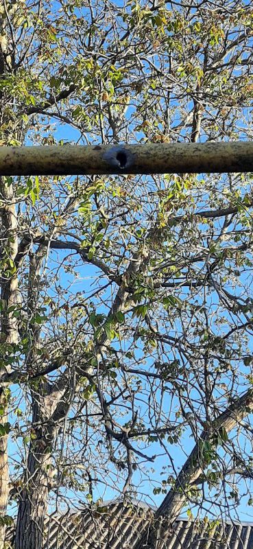 ����� ��������: �������. ������� �����