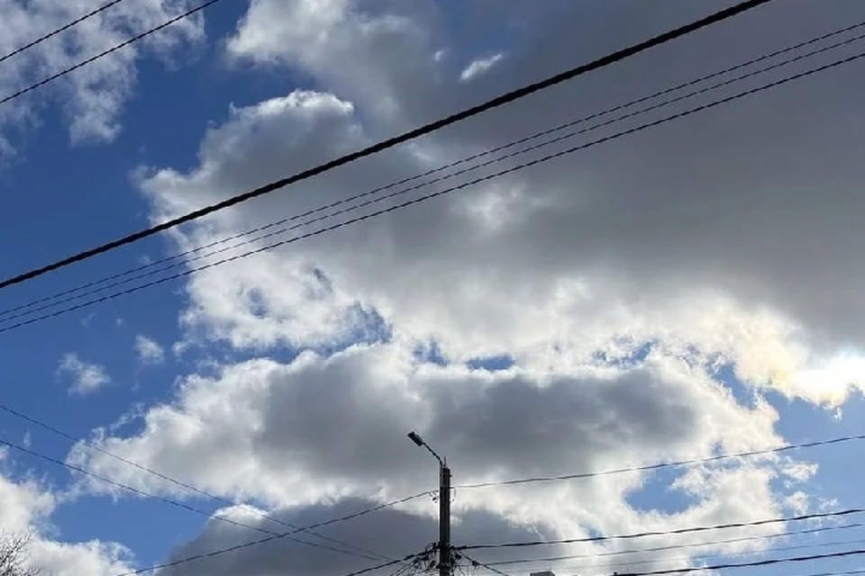 � ���������� ������� 29 ������ ����� �������