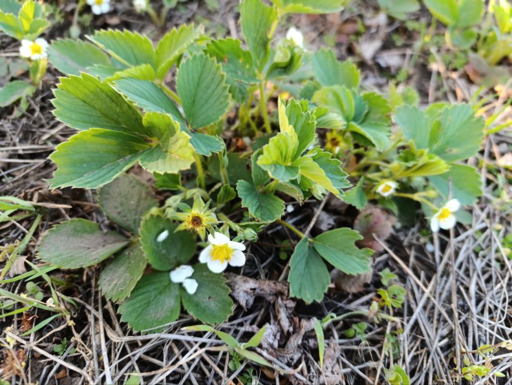 ��� ������ ����� ��������� ����� ���������� �������� �������� � ���������