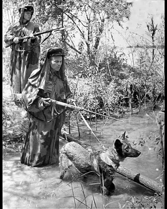 ������ ���� ��� �������, ��� ������� ������������� ����� ���� ������� ��� 22 ���� 1941 ����