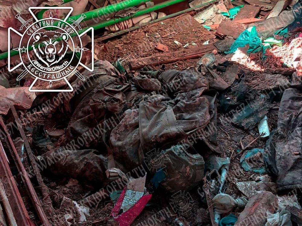 ����� 18+ ������ �����: ��������� ��� ����� ������� � ���� ������