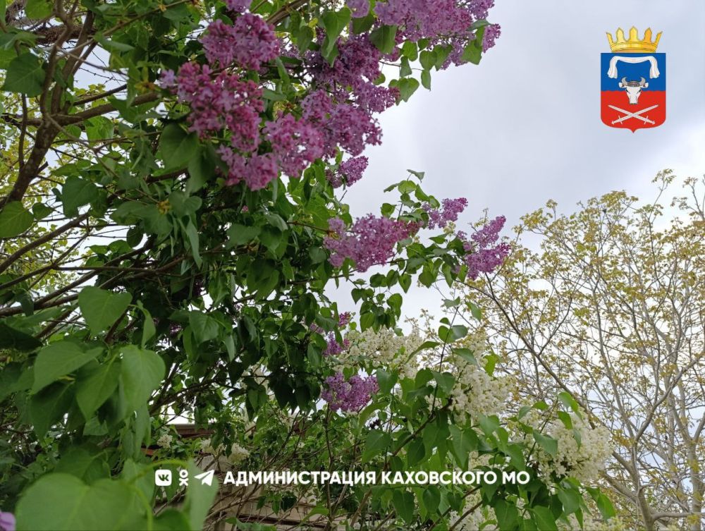 ������ ����, ������ ���������� �������������� ������!