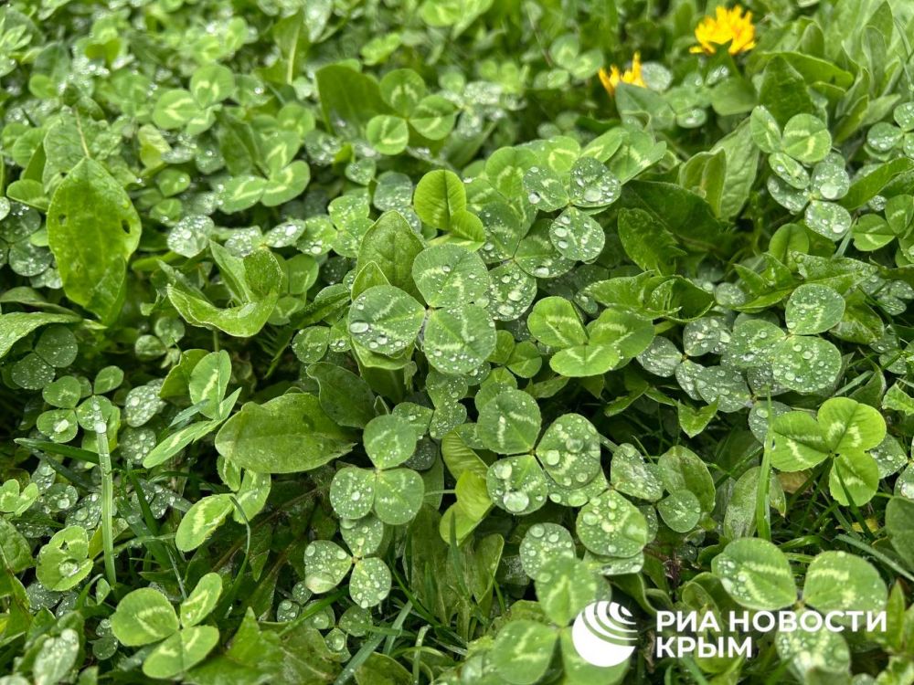 ������ �� ����� ����������� ������