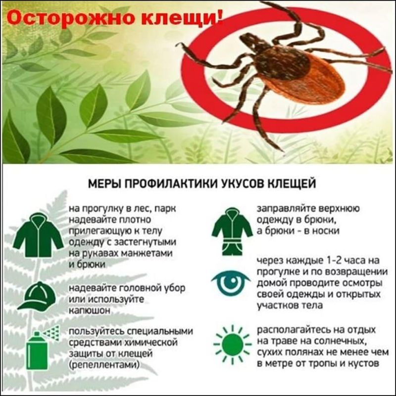 ���������, �����: ��� ����������� ���� � ����� ����������