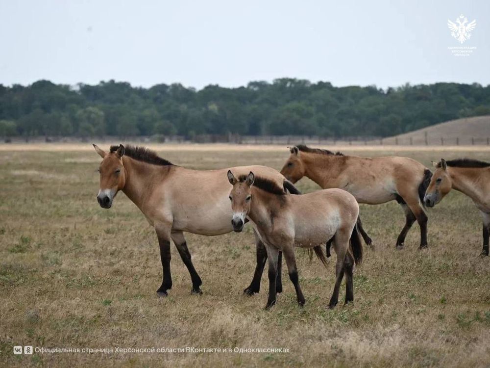 1 ��� � ����������� ��������-���� �������� ������������� �����