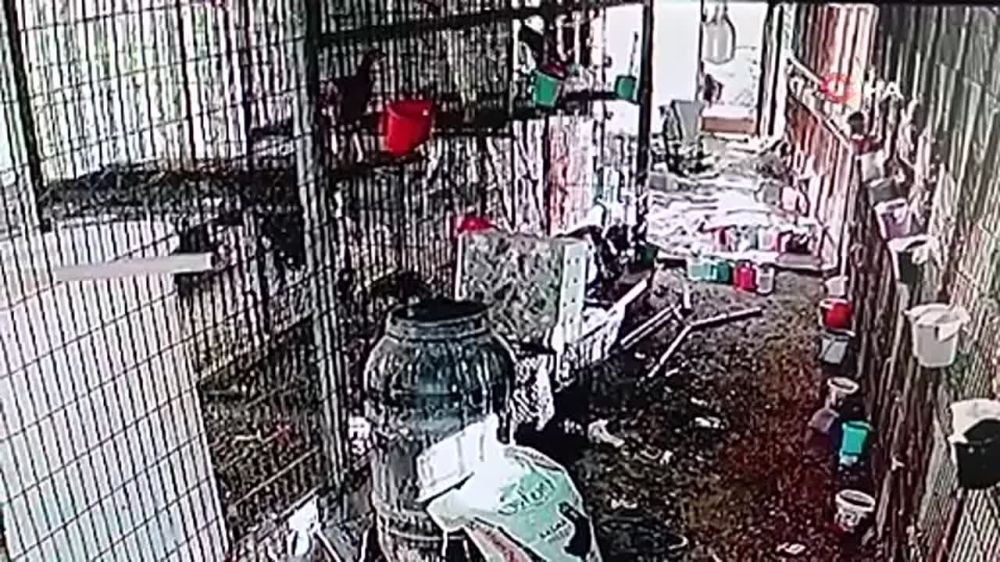 ������� ������� � ������ � �������� ��������� �������