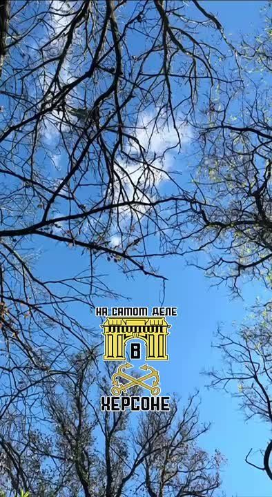 ������ ��������� ��-8���� �� ��. ���������� �������. ������ ����� ������