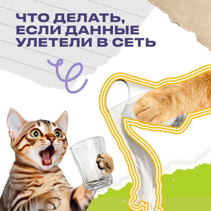 ��� ������, ���� ������������ ������ ������ � ����?