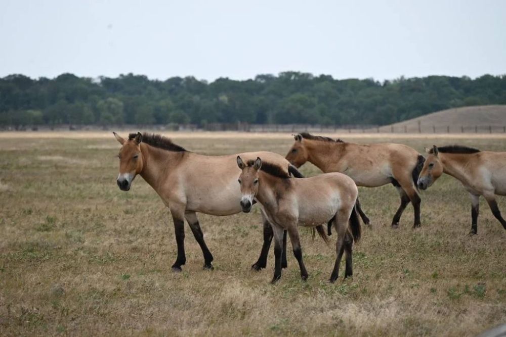 1 ��� � ����������� ��������-���� �������� ������������� �����