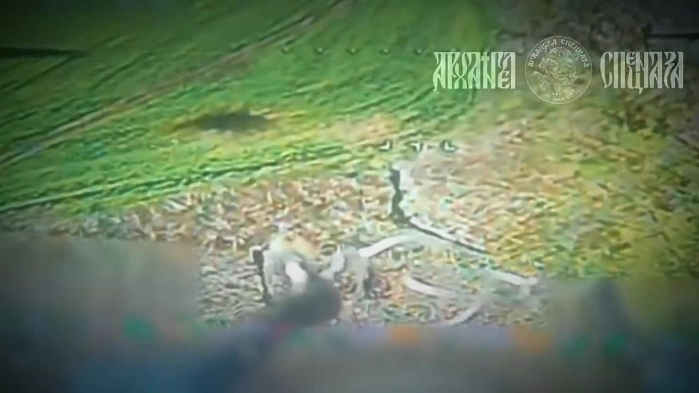 ����� ������������ � ������� �� ����� ���������� ����