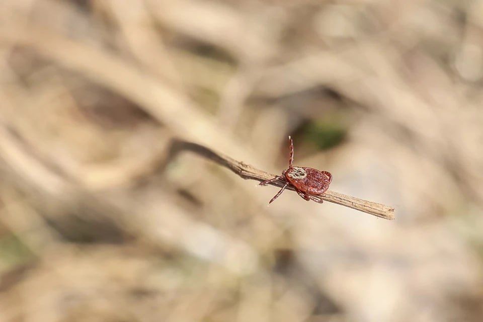 � ���������� ������� ��������� ������� ����� �� ��������� ����������