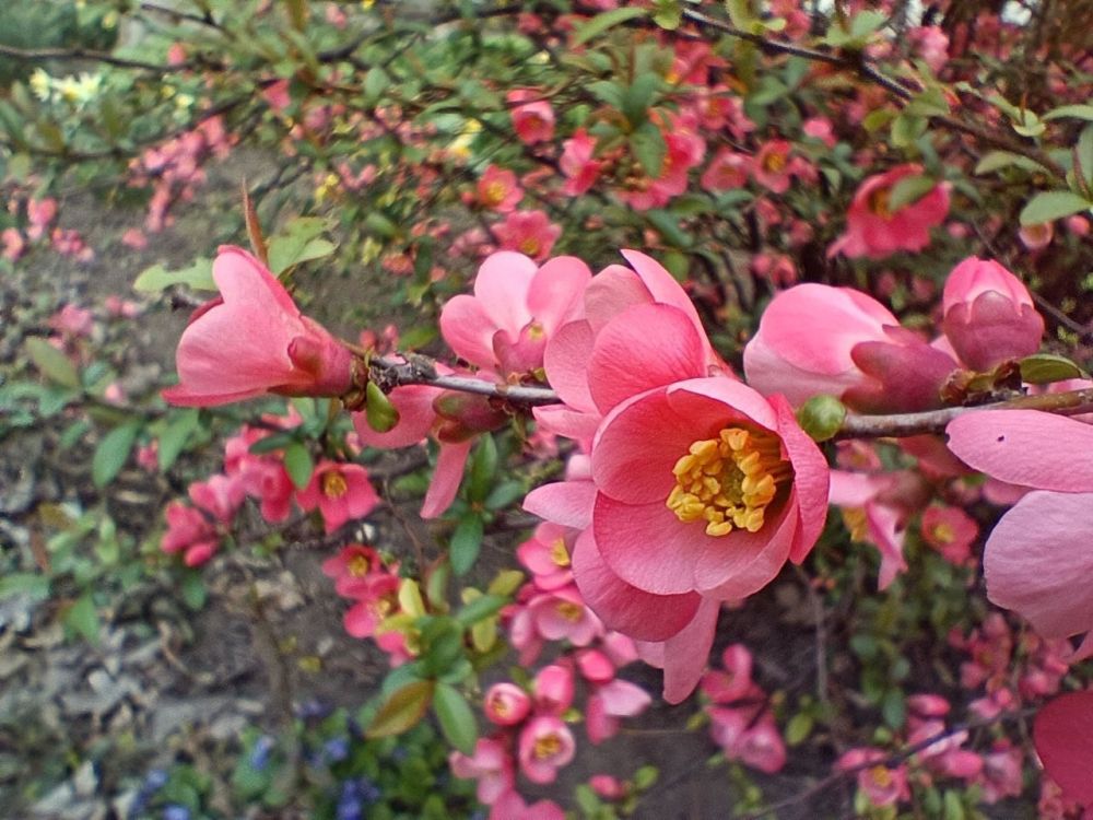 � ������ �����, �����������!