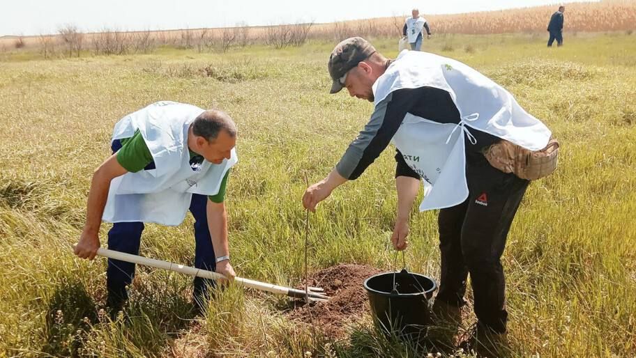 � ���������� ������ �������� ����� � ��������� ������� ���������� ���������