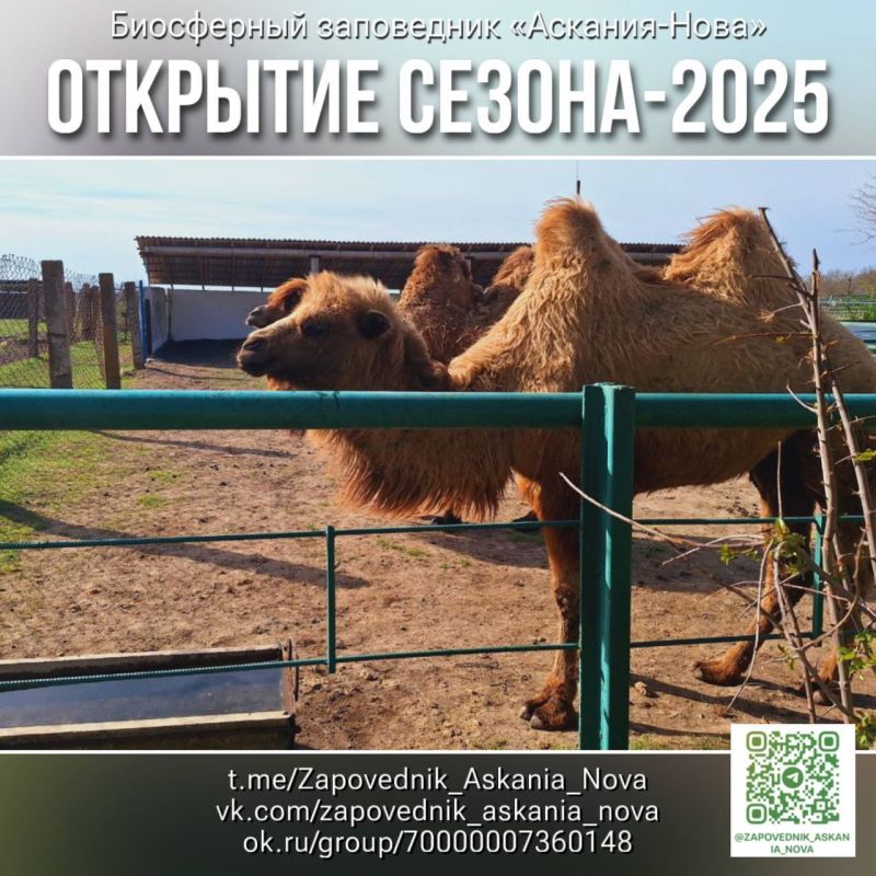 �������� ����������� ��������-���� ��������� 1 ���