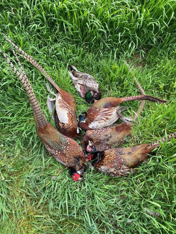 � ��������� ������ ������� ������� �� ���������� ������ �������