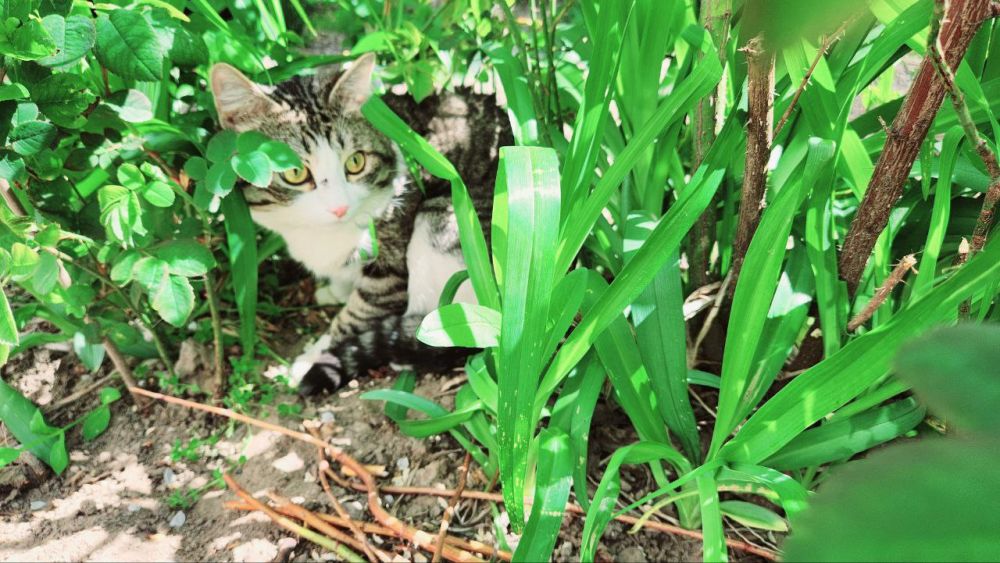 ������� 30 ������, ��������������� ���� � �������, �� �����������!