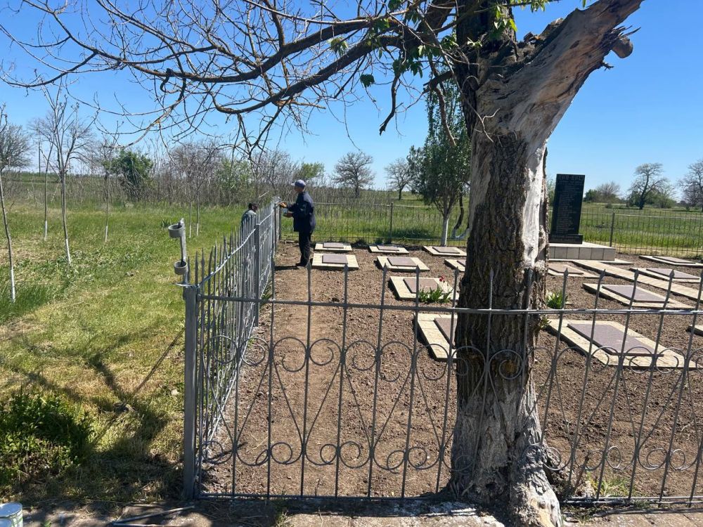 ����� �������: ������ � ���� �� ��������� ������������� �� ���������� ��������������� ������ ������������