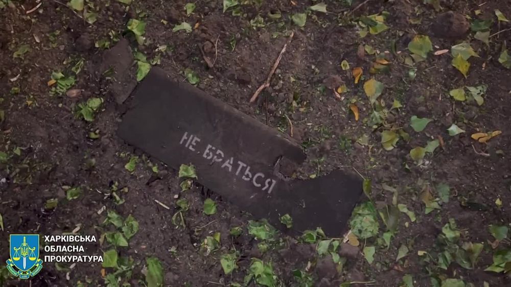 ��������: 39 ������������ � ���������� ������� �����