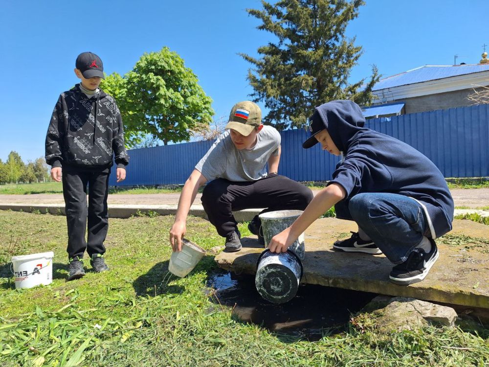 Мало посадить деревья, за ними нужно ещё и ухаживать