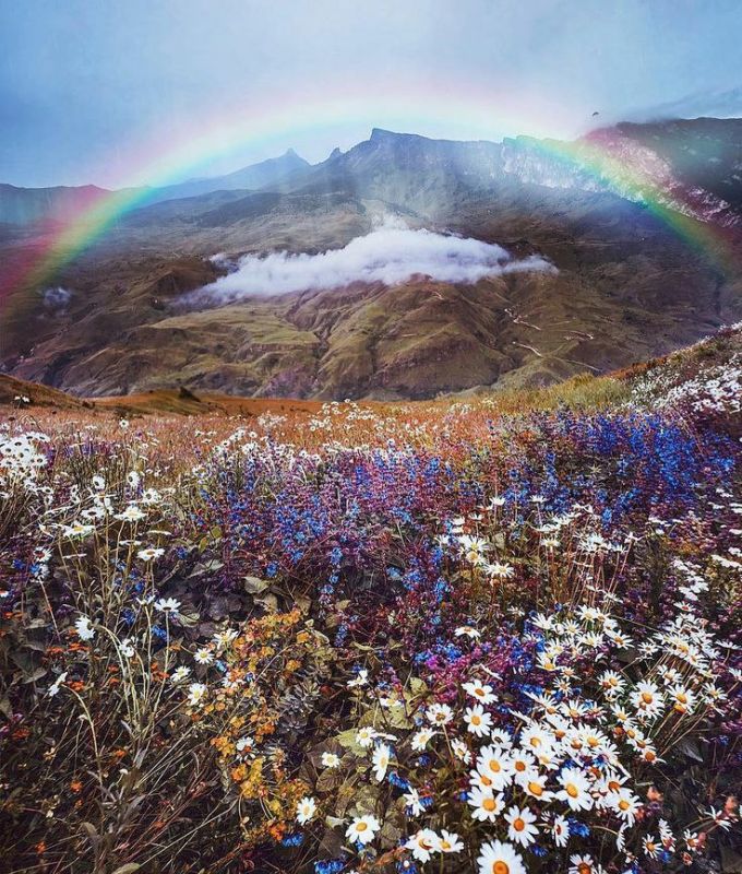 . ������� ���� � ���� ��������� , � ������� , ��� ����� ����